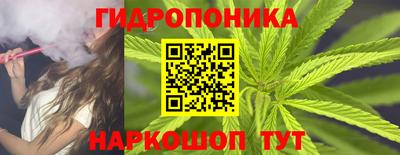 стаф Лесосибирск