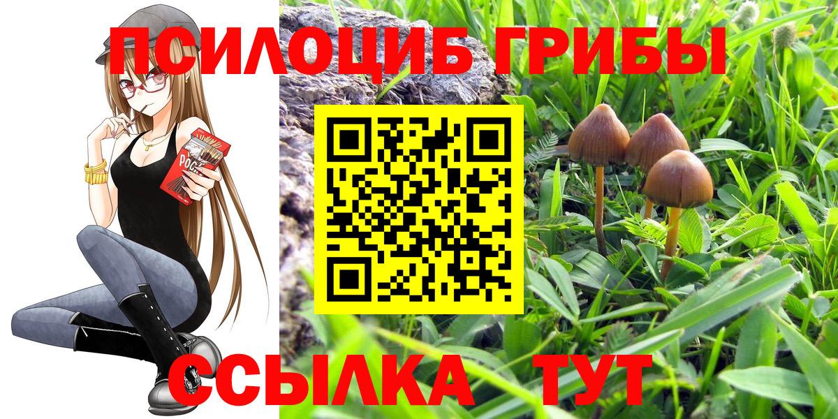 Псилоцибиновые грибы мухоморы  Вход с VPN  Псилоцибиновые грибы ЛСД  Долгопрудный 